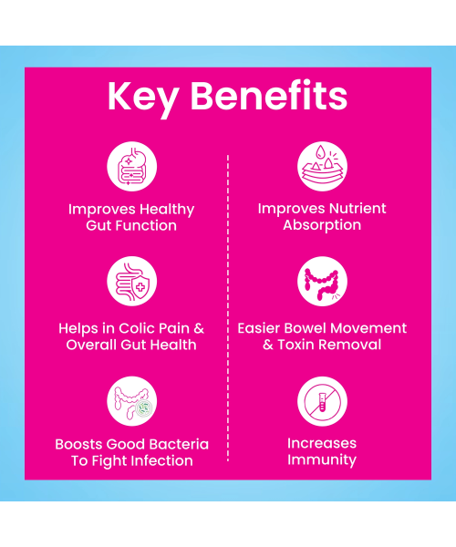 Dr. Morepen: INTEBACT INSTA 2BN CFU | Probiotics Supplement for Gut Health, Vanilla flavour - 6 Sachets - Pack of 2