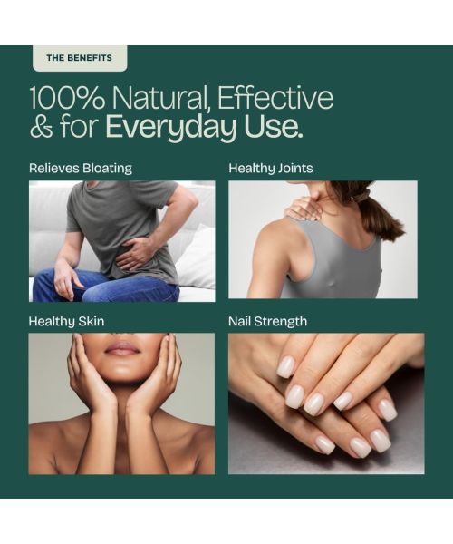 Puretive: Wheatgrass Powder | For Energy, Detox, Immunity Booster, Skin Health