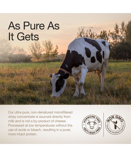 Wellbeing Nutrition: 100% Raw Whey Protein Concentrate (Unflavoured) | 27g Protein, 12.7g EAA, 6g BCAA | 4B CFU Probiotics & Natural Digestive Enzymes | No Bloating, Easy to Digest | 1kg