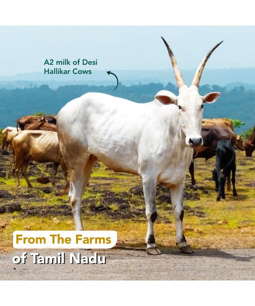 anveshan: A2 Desi Cow Ghee - 1L