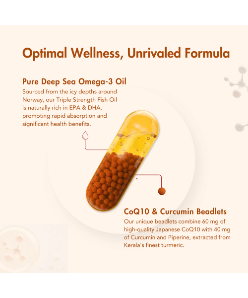Wishnew Wellness: DAILY RITUAL | Triple Strength Fish Oil with Omega-3s & CoQ-10 | 60 Liquid Fill Capsules