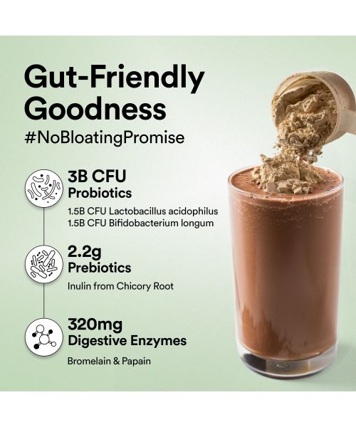 Wellbeing Nutrition: Special Offer -Superfood Plant Protein - Dark Chocolate Hazelnut - 500 gm