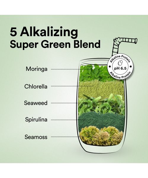 Wellbeing Nutrition: Special Offer -Superfood Plant Protein - Dark Chocolate Hazelnut - 500 gm