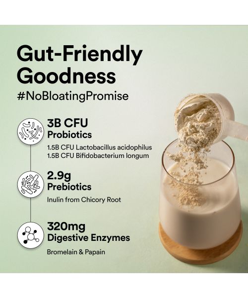 Wellbeing Nutrition: Superfood Plant Protein - Vanilla Caramel - 500 gm