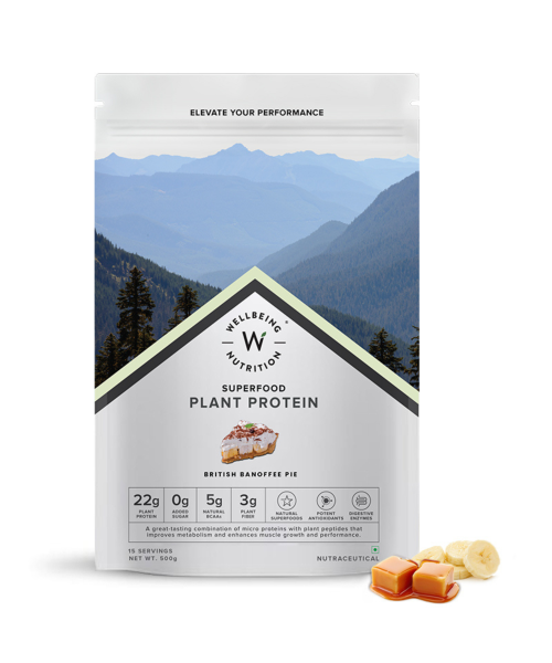 Wellbeing Nutrition: Organic Vegan Plant Protein Isolate - Italian Cafe Mocha - 500gm