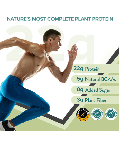 Wellbeing Nutrition: Organic Vegan Plant Protein Isolate- British Banoffee Pie - 500gm