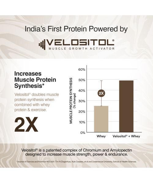 Wellbeing Nutrition: Whey Protein Isolate + Concentrate (Swiss Chocolate) 213g Pack of 6 24g Protein, 11.5g EAA, 1g Glutamine Clinically Proven 2x Muscle Protein Synthesis 4B CFU Probiotics & Digestive Enzymes