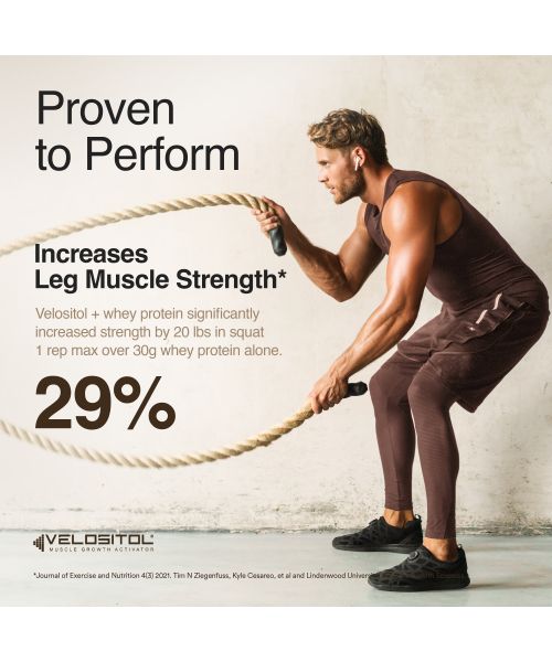 Wellbeing Nutrition: Whey Protein Isolate + Concentrate (Swiss Chocolate) 213g Pack of 6 24g Protein, 11.5g EAA, 1g Glutamine Clinically Proven 2x Muscle Protein Synthesis 4B CFU Probiotics & Digestive Enzymes