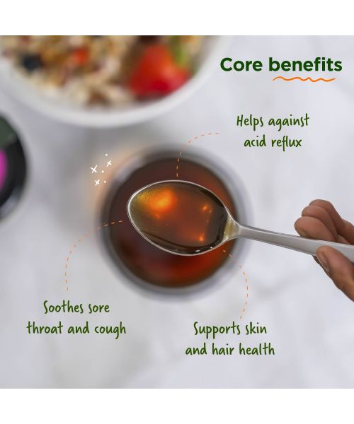 Two Brothers Organic Farms: Forest Honey (350g)