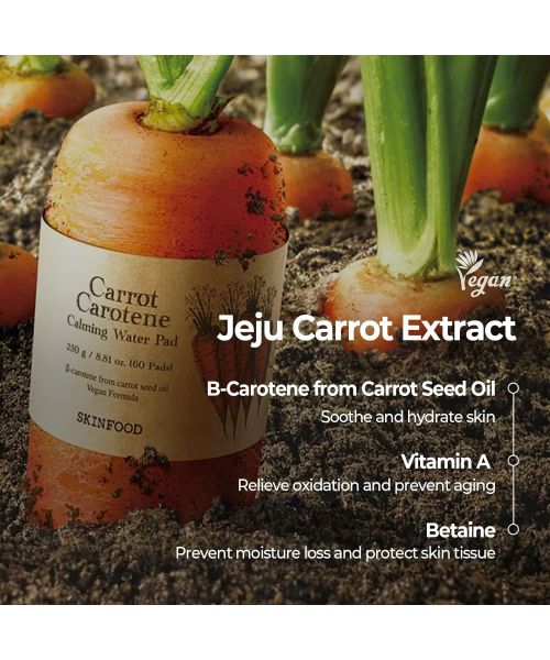Skinfood: CARROT CAROTENE DAILY MASK