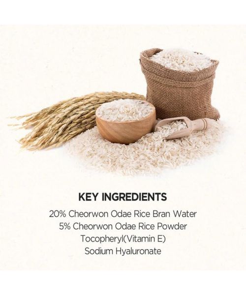 Skinfood: RICE MASK WASH OFF - 120gm