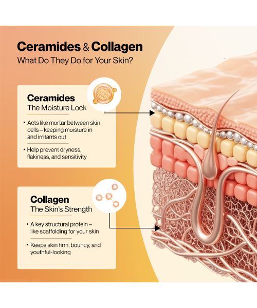 SETU: Youthful with 8g Marine Collagen + Ceramosides™ for 4X Faster Hydration | Supplement to Reduce Wrinkles, Fine Lines & Support Healthy Skin | Collagen Powder For Women & Men | (60 Servings)