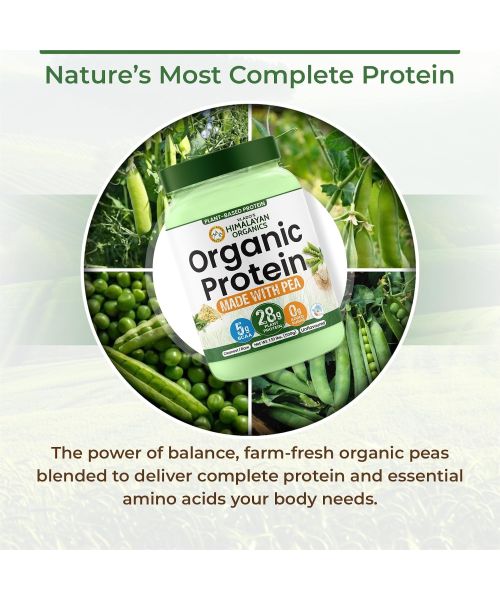 Vlado's Himalayan Organics: Organic protein Powder I Plant protein I 28gm Protein , 5gm BCAA - Unflavoured - 500gm