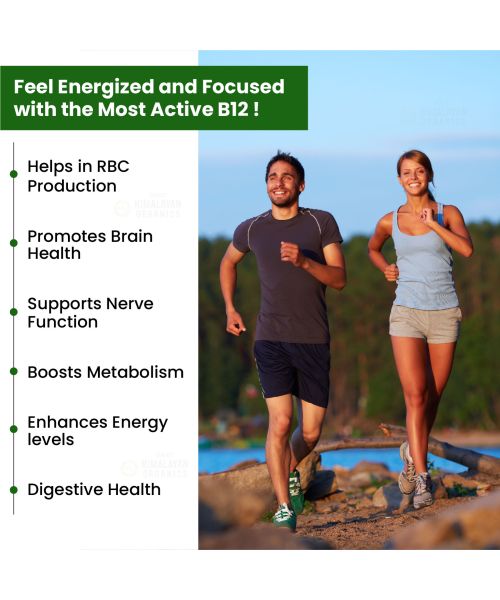 Vlado's Himalayan Organics: Vitamin B12 Supplements 500 mcg - Methylcobalamin B12 Vitamin Tablets - 60 Veg Tablets