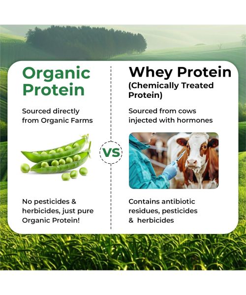 Vlado's Himalayan Organics: Organic protein Powder I Plant protein I 28gm Protein , 5gm BCAA - Unflavoured - 500gm