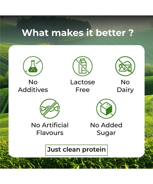 Vlado's Himalayan Organics: Organic protein Powder I Plant protein I 28gm Protein , 5gm BCAA - Unflavoured - 500gm
