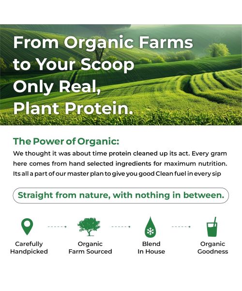 Vlado's Himalayan Organics: Organic protein Powder I Plant protein I 28gm Protein , 5gm BCAA - Unflavoured - 500gm