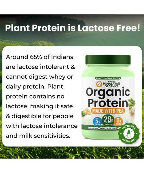 Vlado's Himalayan Organics: Organic protein Powder I Plant protein I 28gm Protein , 5gm BCAA - Unflavoured - 500gm