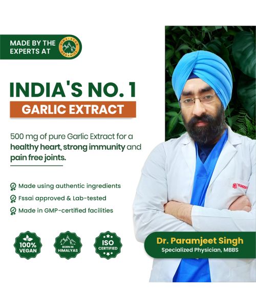 Vlado's Himalayan Organics: Garlic 500Mg Supplement | Extract (1:13) Allium Sativum - 2% - 60 Veg Capsules