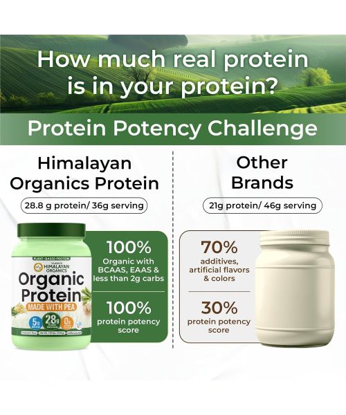 Vlado's Himalayan Organics: Organic protein Powder I Plant protein I 28gm Protein , 5gm BCAA - Unflavoured - 500gm