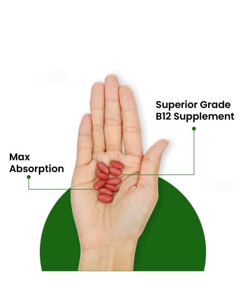 Vlado's Himalayan Organics: Vitamin B12 Supplements 500 mcg - Methylcobalamin B12 Vitamin Tablets - 60 Veg Tablets