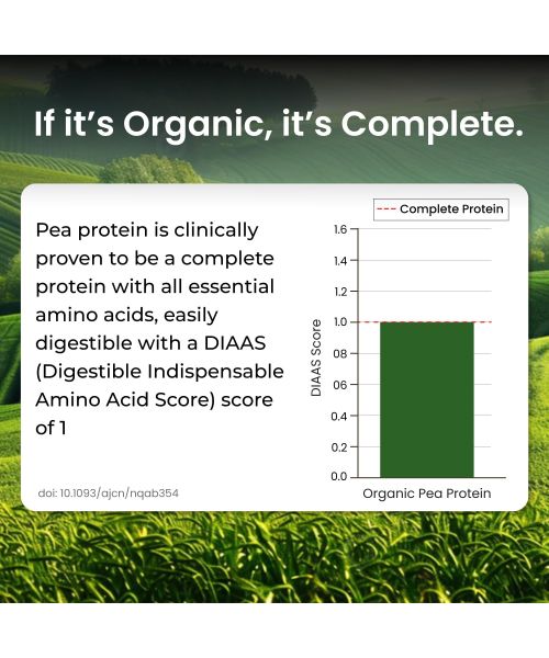 Vlado's Himalayan Organics: Organic protein Powder I Plant protein I 28gm Protein , 5gm BCAA - Unflavoured - 500gm