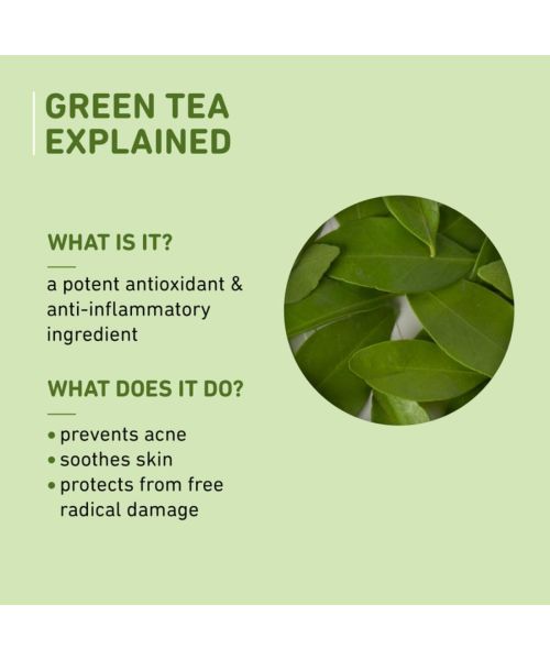 Plum: Green Tea Renewed Clarity Night Gel - Mini  15ml