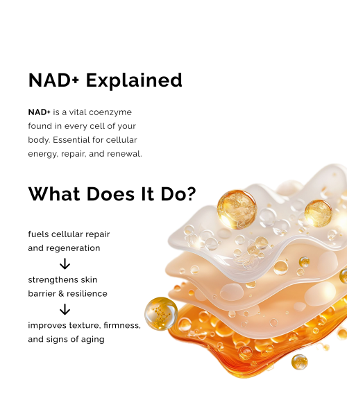 Beyond Beyond: The Ultimate Night Repair SuperCream 50gm