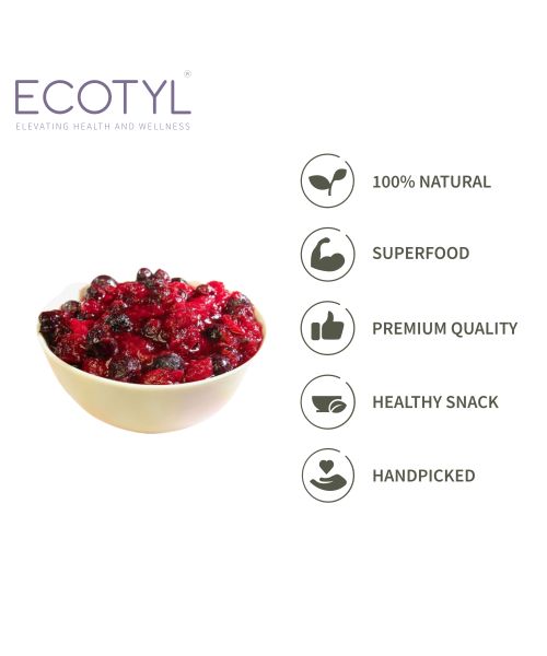 Ecotyl: Blueberres & Dried Cranberries Combo | Healthy Snacks | Dried Fruits | 150gm Each