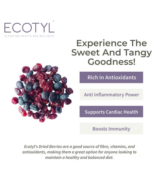 Ecotyl: Blueberres & Dried Cranberries Combo | Healthy Snacks | Dried Fruits | 150gm Each