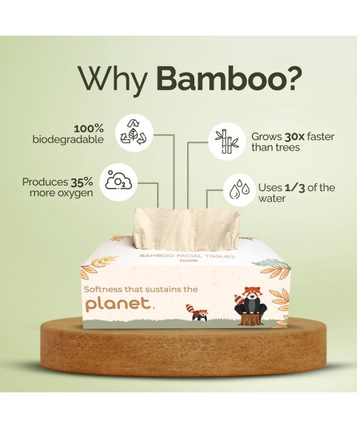 IMECO: Bamboo Facial Tissue | Soft & Highly Absorbent | 2-Ply | 100 Pulls Per Pack | Pack of 2