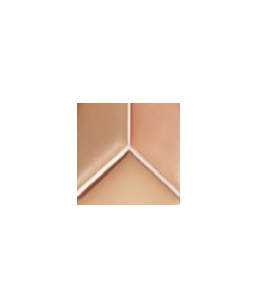 tfit: Cover Up Pro Concealer 02 Warm  15gm