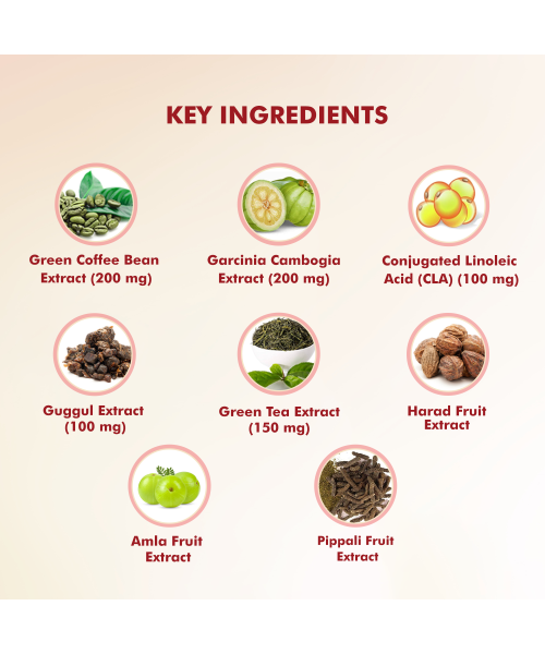 Dr. Morepen: Fat Burner Tablets - 60 Tablets