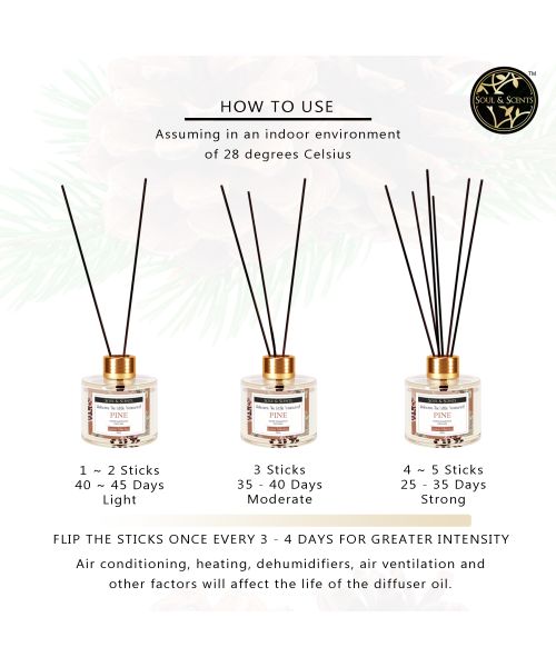Soul & Scents: Pine Reed Diffuser 120ml