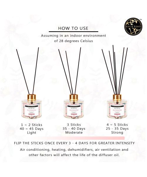 Soul & Scents: Blossom Reed Diffuser 120ml