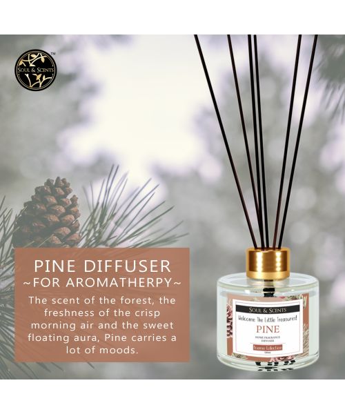 Soul & Scents: Pine Reed Diffuser 120ml