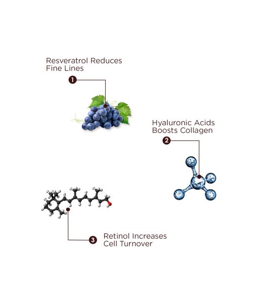 The Skin Story: 5 in 1 Daily Skin Defence - 40ml