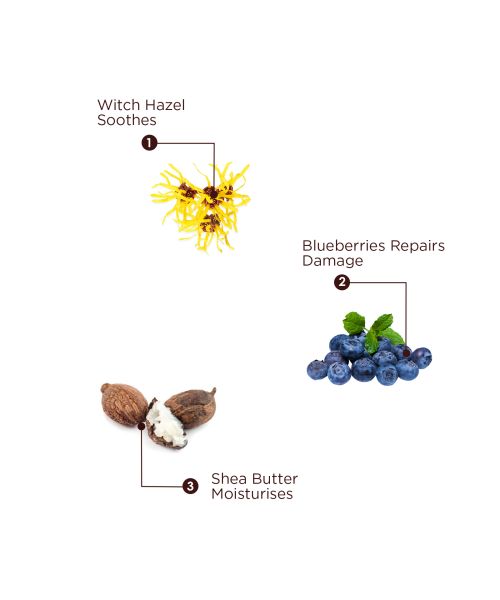 The Skin Story: Shea Butter & Blueberry Facewash - Revitaliser - 100 ml