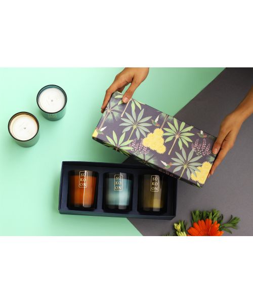 Sukoon: Scent Trio- 3 premium scented candles