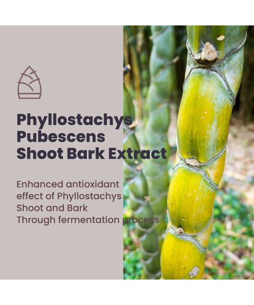 Haruharu Wonder: Black Bamboo Mist - 150ml