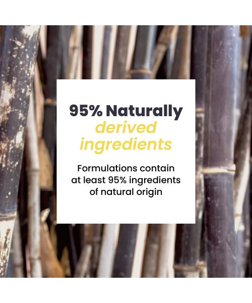 Haruharu Wonder: Black Bamboo Mist - 150ml