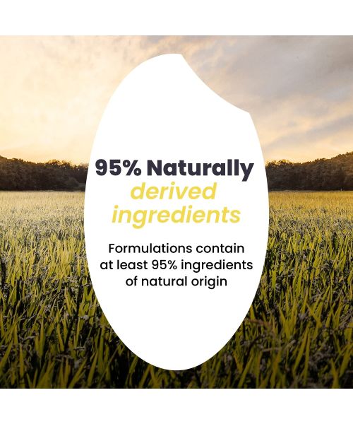 Haruharu Wonder: Black Rice Hyaluronic Anti-wrinkle Serum - 50ml