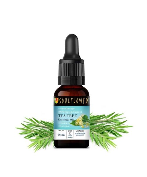 Soulflower: TeaTree Essential Oil - 15ml