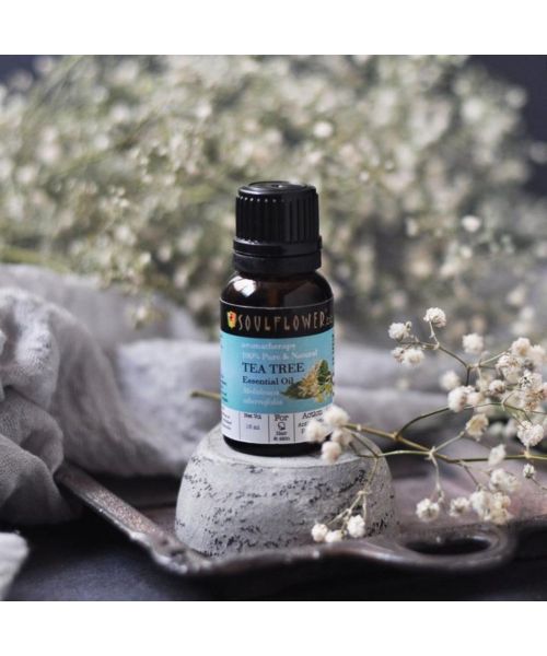 Soulflower: TeaTree Essential Oil - 15ml