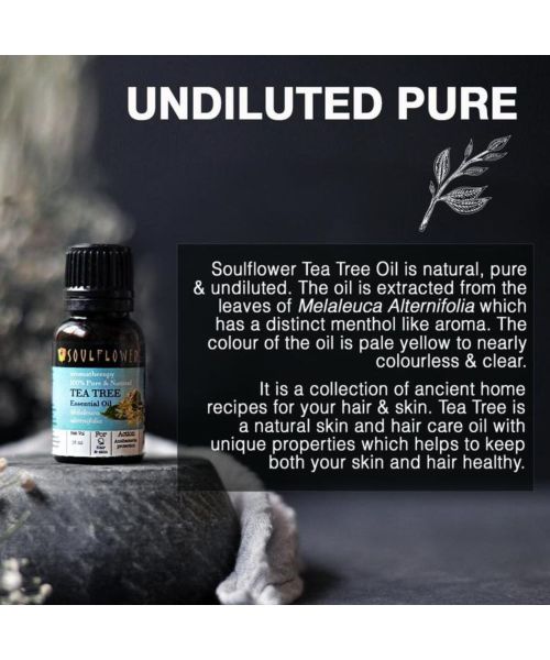 Soulflower: TeaTree Essential Oil - 15ml