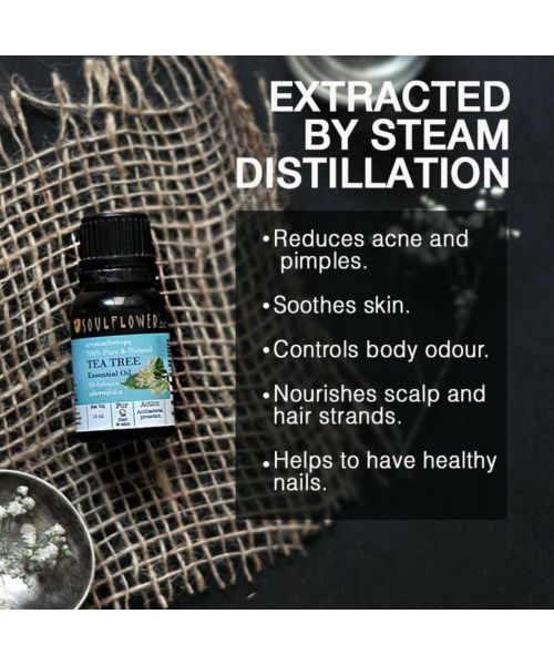 Soulflower: TeaTree Essential Oil - 15ml