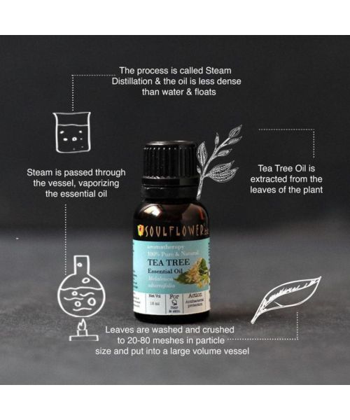 Soulflower: TeaTree Essential Oil - 15ml