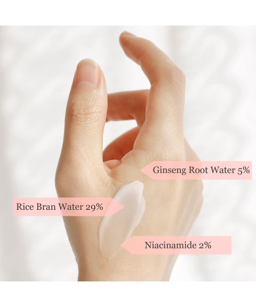 Beauty of Joseon: Dynasty Cream [Renewed Version] | 50ml