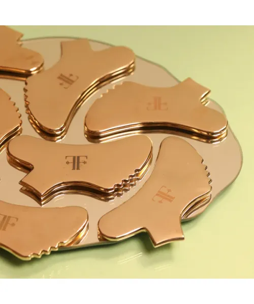 Fit Face : Oh My, Gua Sha