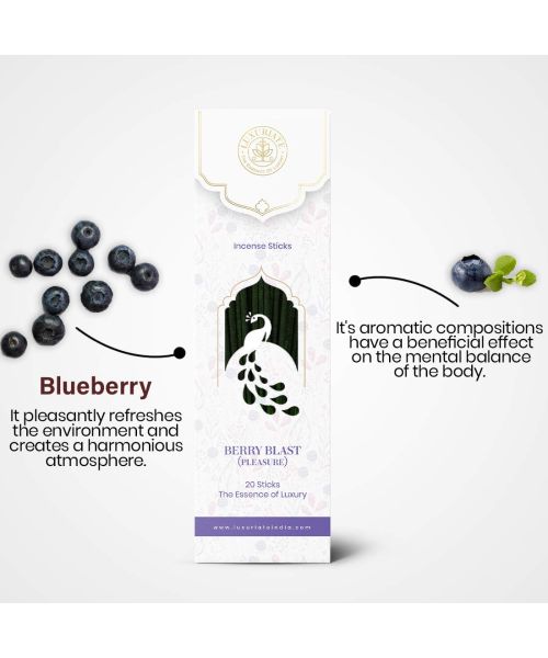 Luxuriate: Berry Blast Fragrance Natural and Non-Toxic Incense Sticks - Contains 20 Incense Sticks